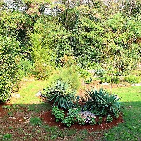 Jelena Appartement Poreč Buitenkant foto